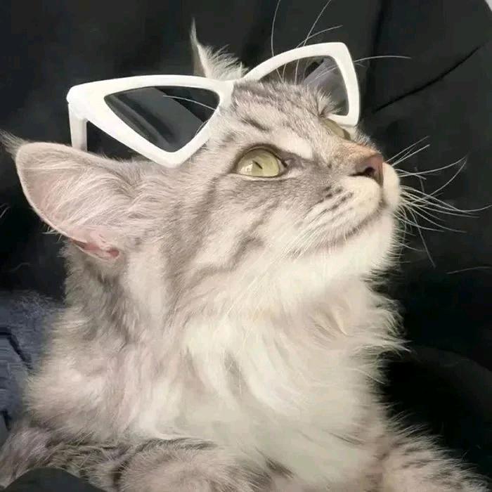 睡不醒的熙崽