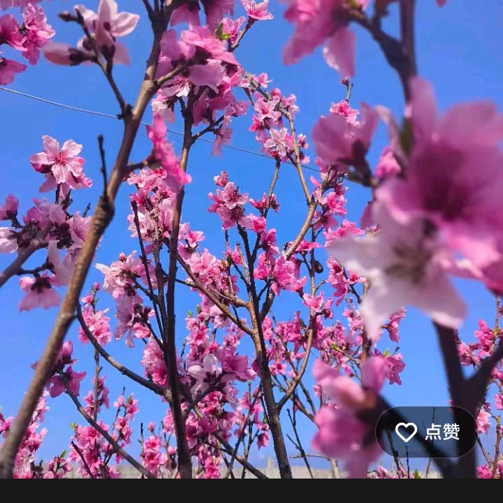 农村出来的小孩。