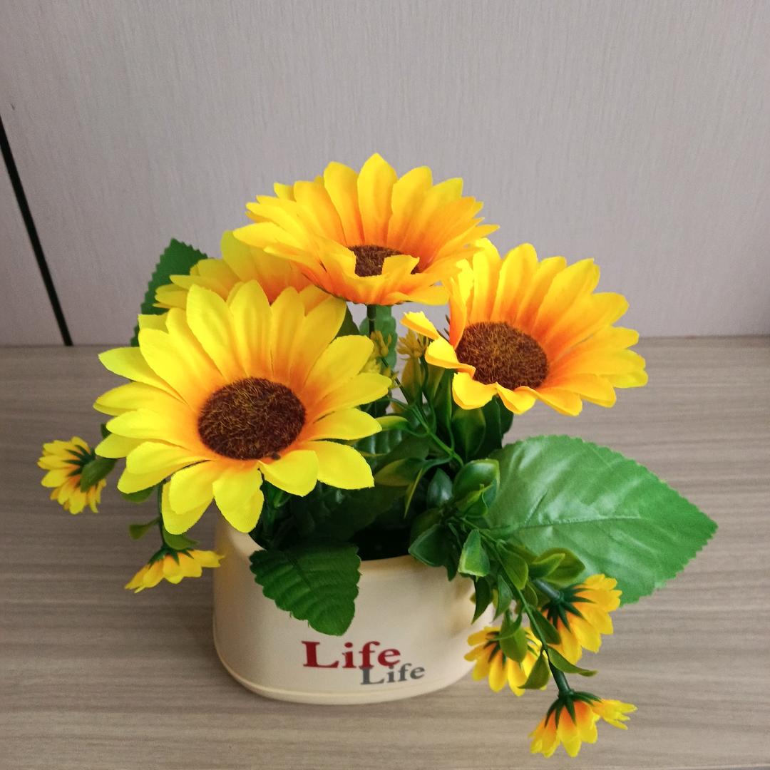 ₍˄·͈༝·͈˄*₎◞ ̑̑出来冒个(˵