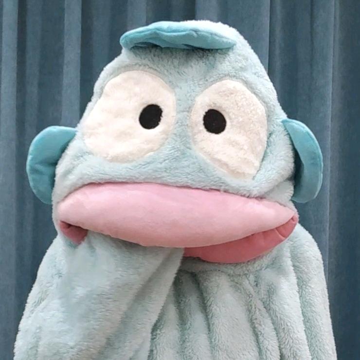 虎太武董傅四冯滑卅吴临八廓萧抗辛张胜彦渠