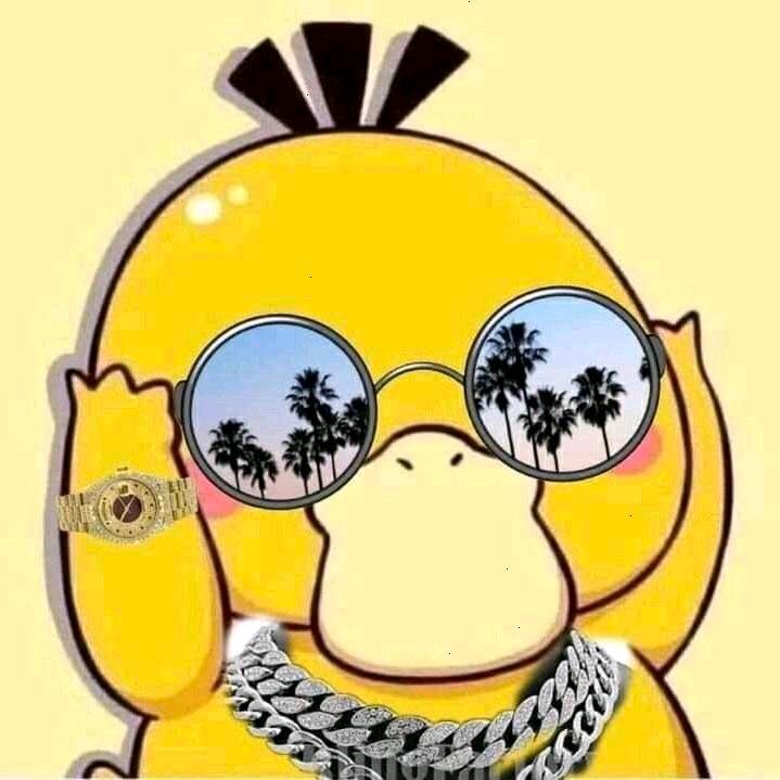 润润鸭😎