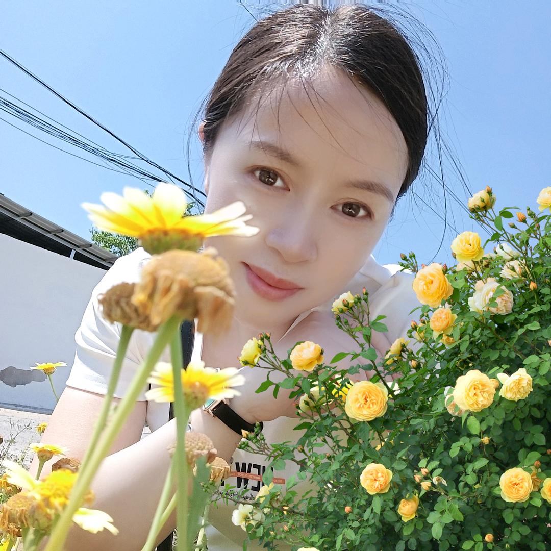 米莉