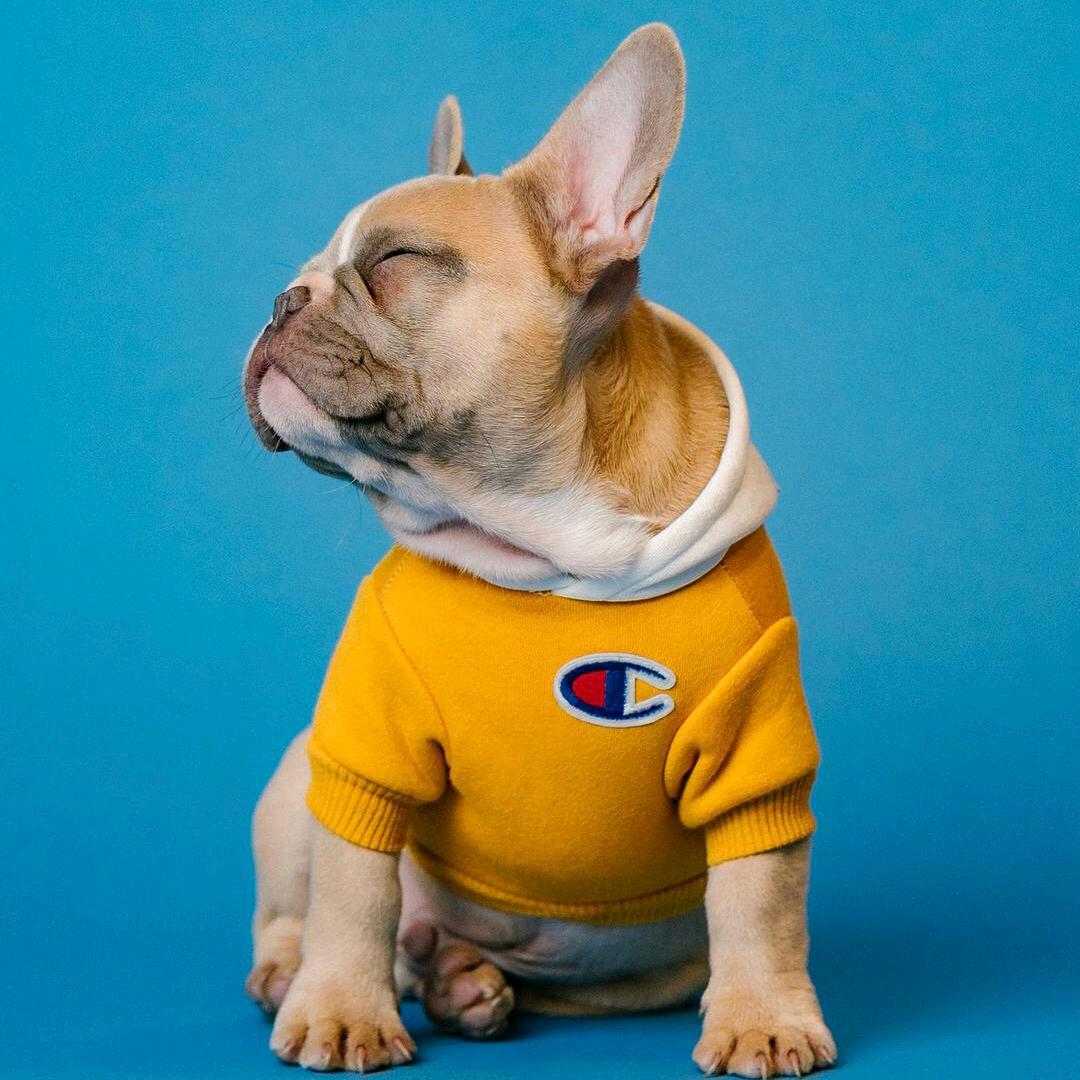 厦门同安区峰盛天电子商务经营部（个体工商户）