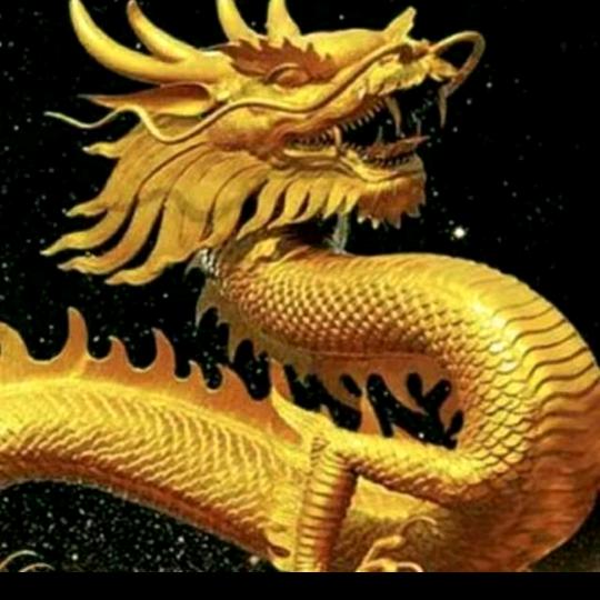 🔥龙行天下
