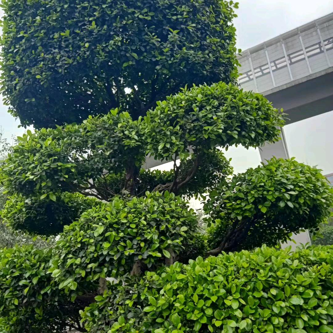 有缘来相见💖里有你