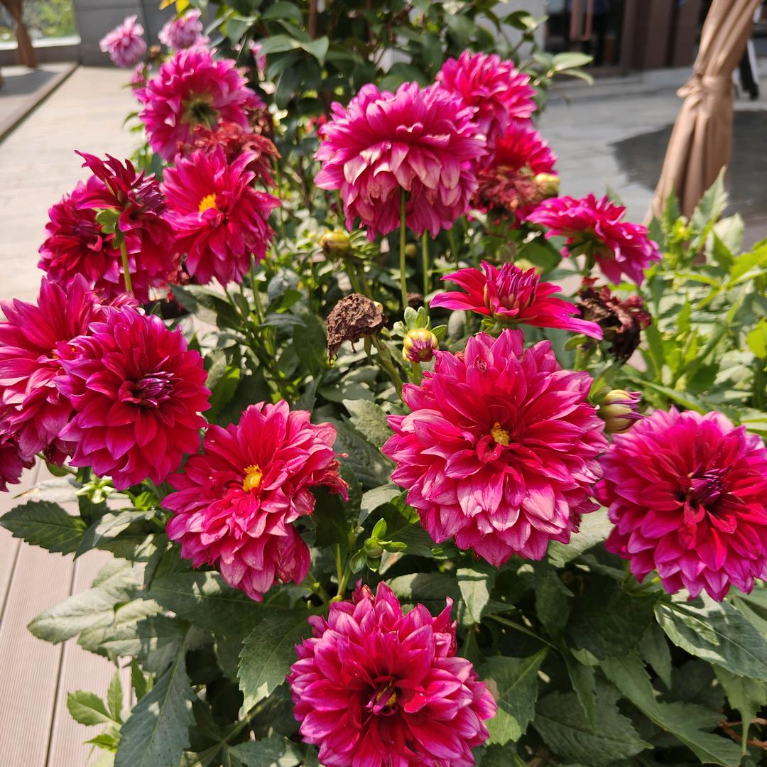 好人一生平安~~