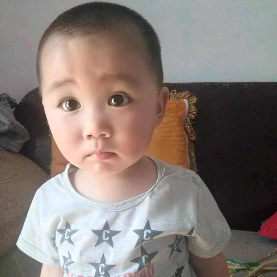 遗失的真情