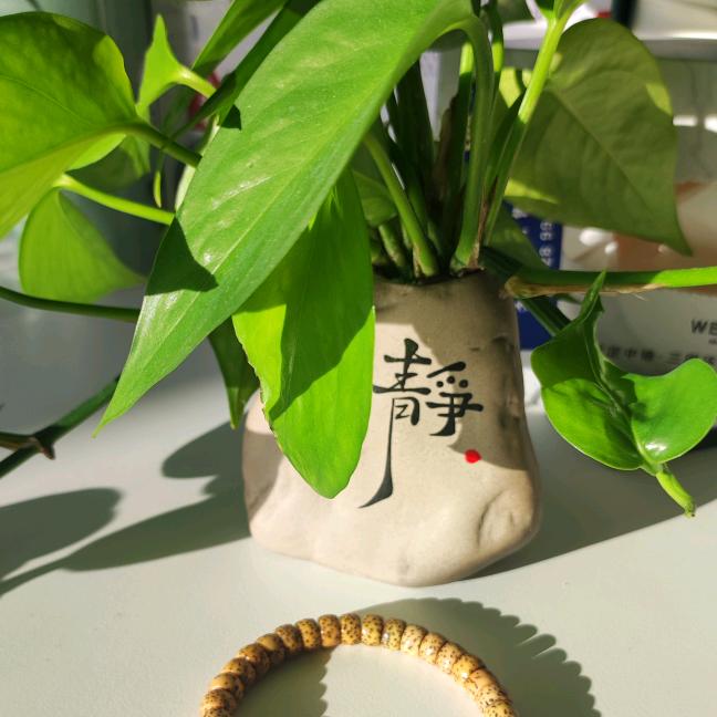 幸福的快乐生活