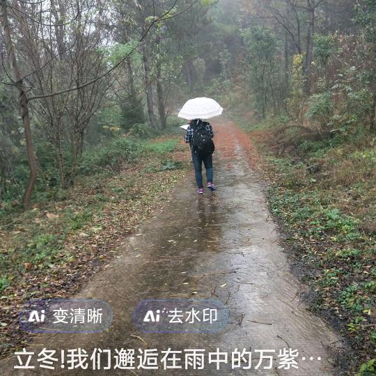 雨中漫步