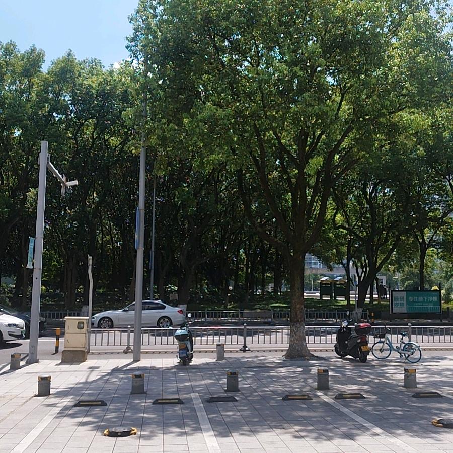 大林老师