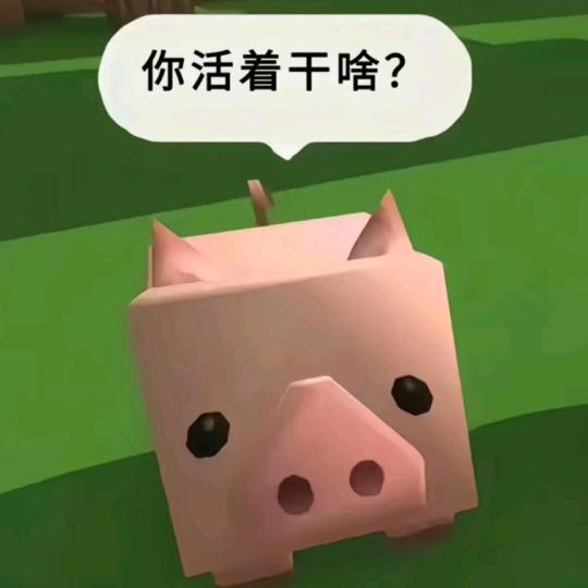 青儿