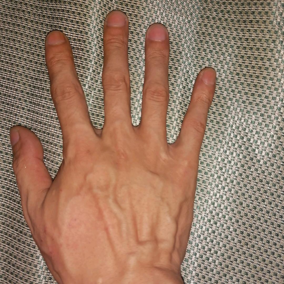 一只调皮捣蛋的主