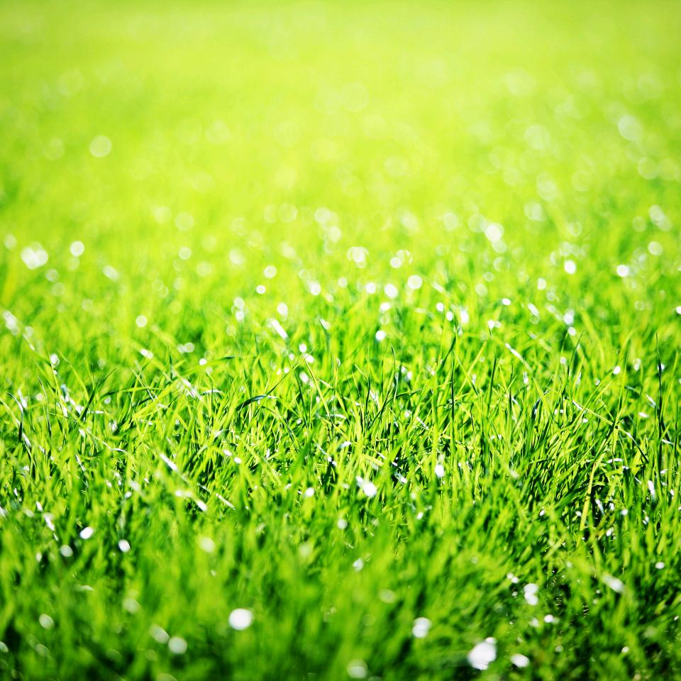 莫妮卡精品优选