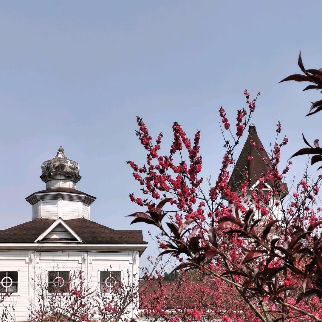 此岸彼端
