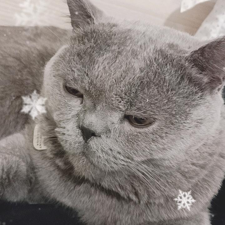 💏我爱的人💑来了 💏