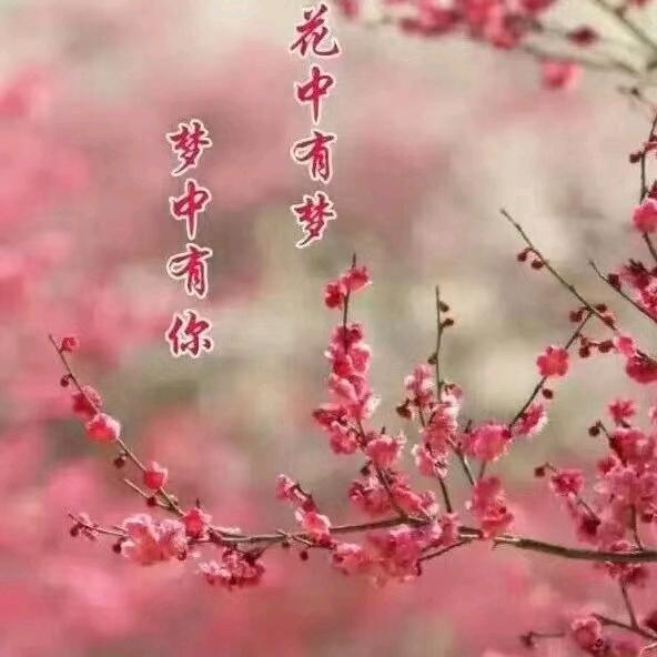陪你疯陪你浪😽😽😽😽