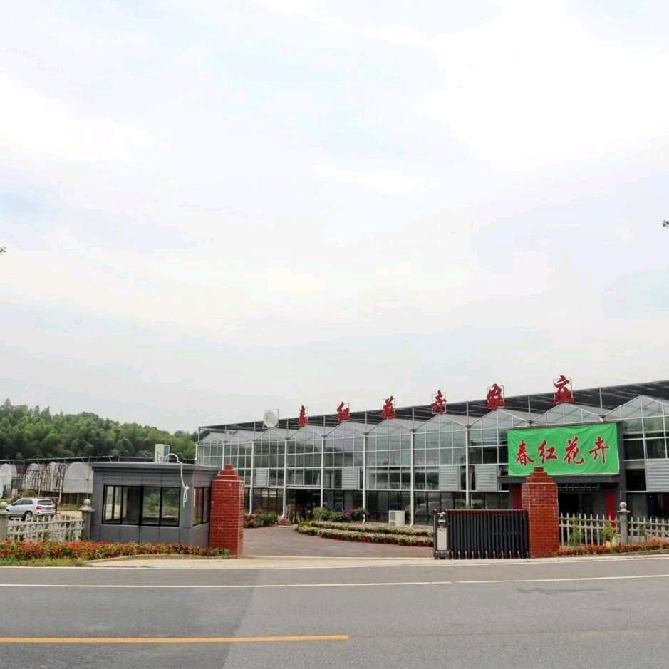 春红花卉基地
