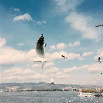 晴空万里