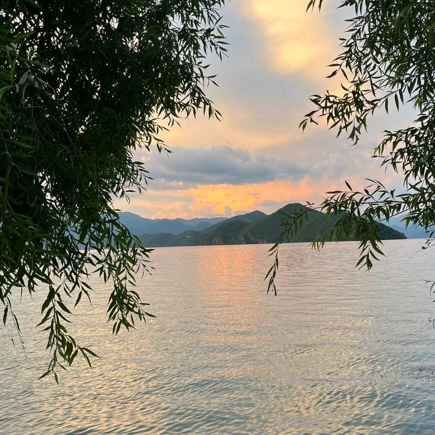 亮情星河