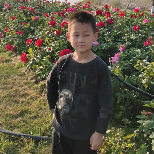 你好我好