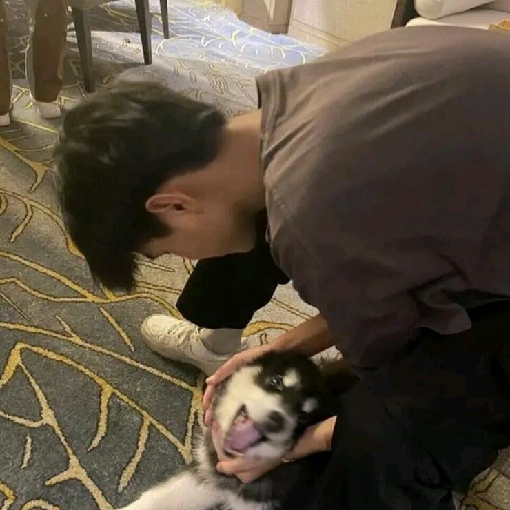 金铲铲小忍