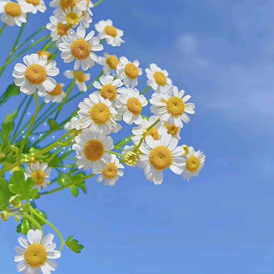 ♛听风诉说i♬ 👣