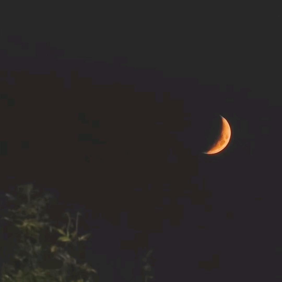 ✨💫追光赏月✨💫