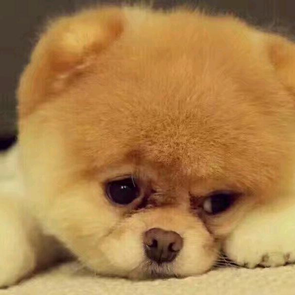 孤独，印度阿三，人山人海