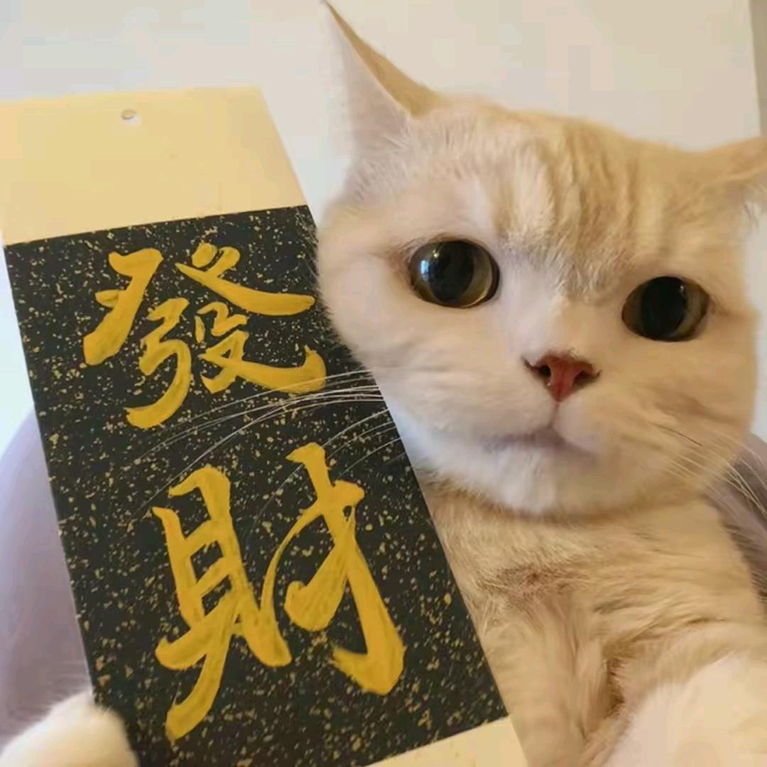 钥赢