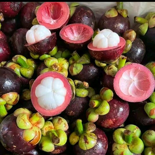 临河鲜果溢家孙业珍