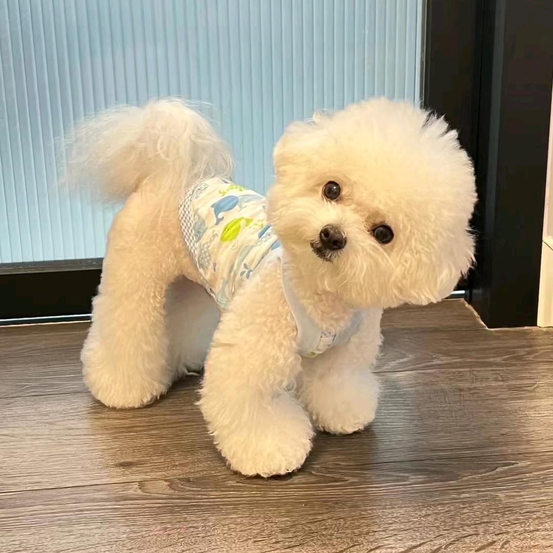 笨笨猪🐷^O^之咱家宠店