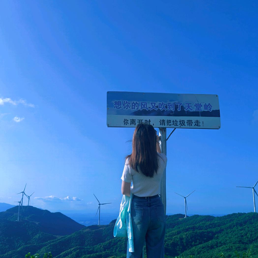 心知彼岸