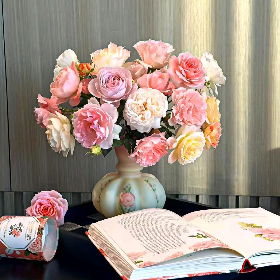 吴芯