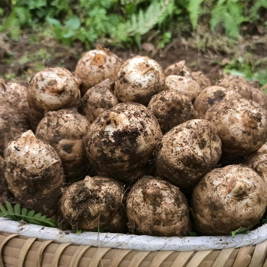 大方源丰生态农业开发有限公司企业店