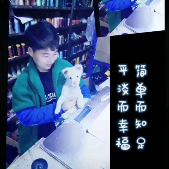 光大辅料行