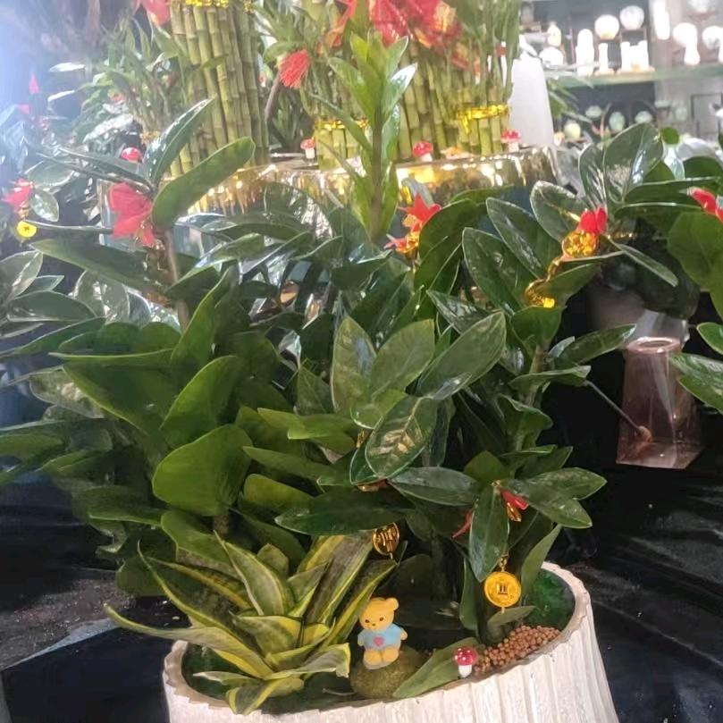 春暖花开