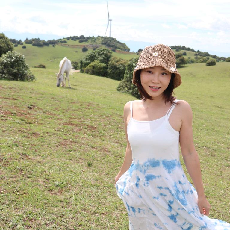 达达泡泡糖