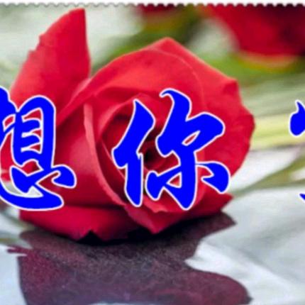 想你了