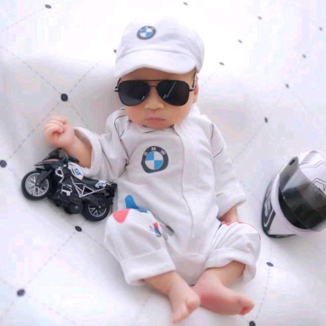 安阳绿彩园林绿化有限公司