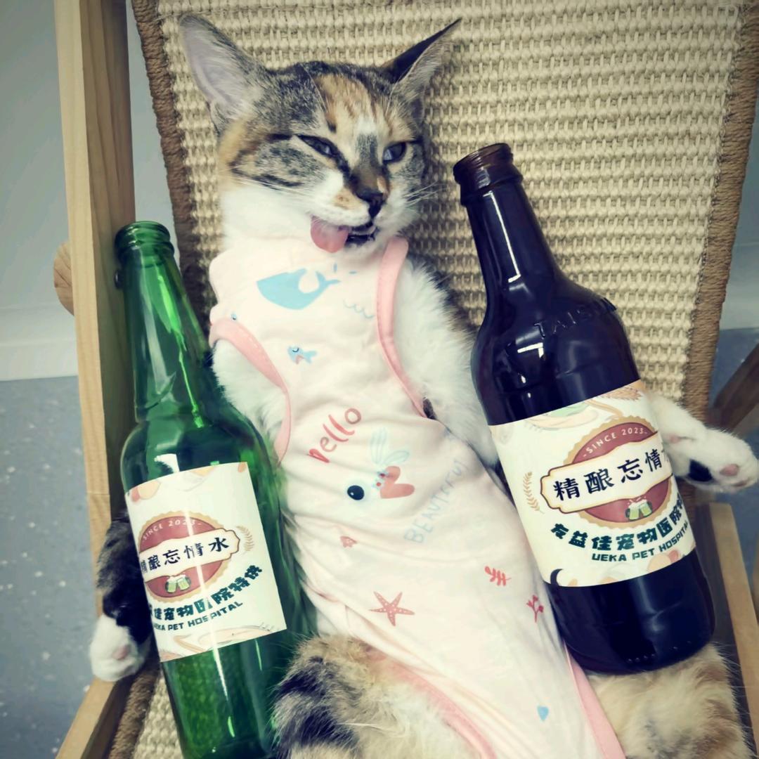 王小咩