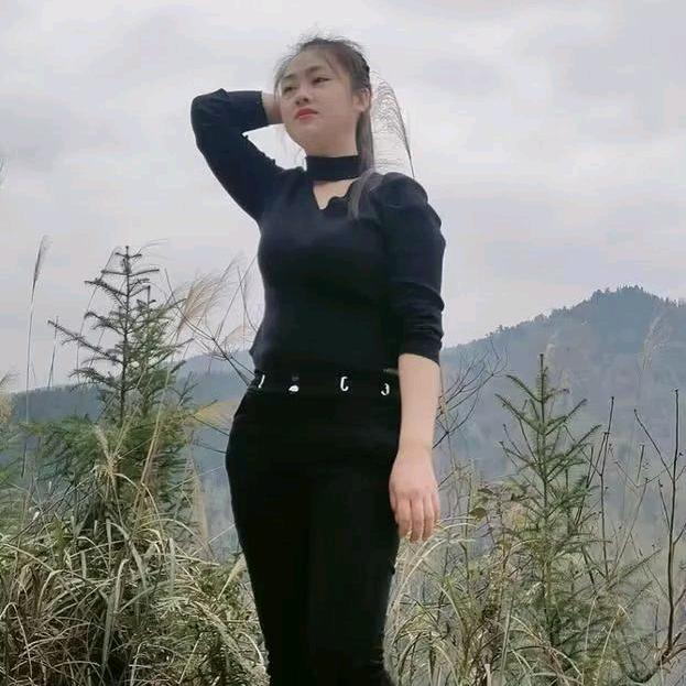 星情好好