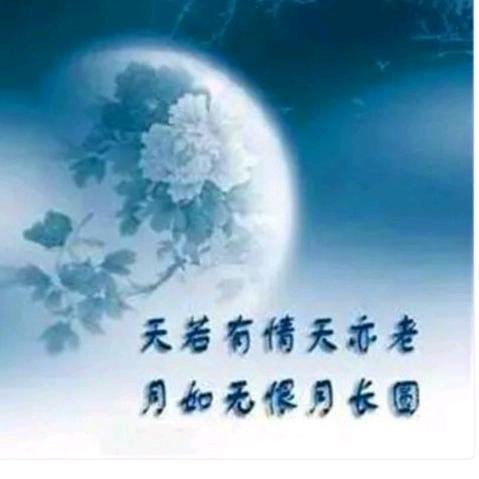 红尘过客