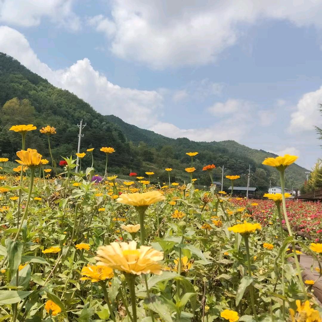 恋上白云的蓝天