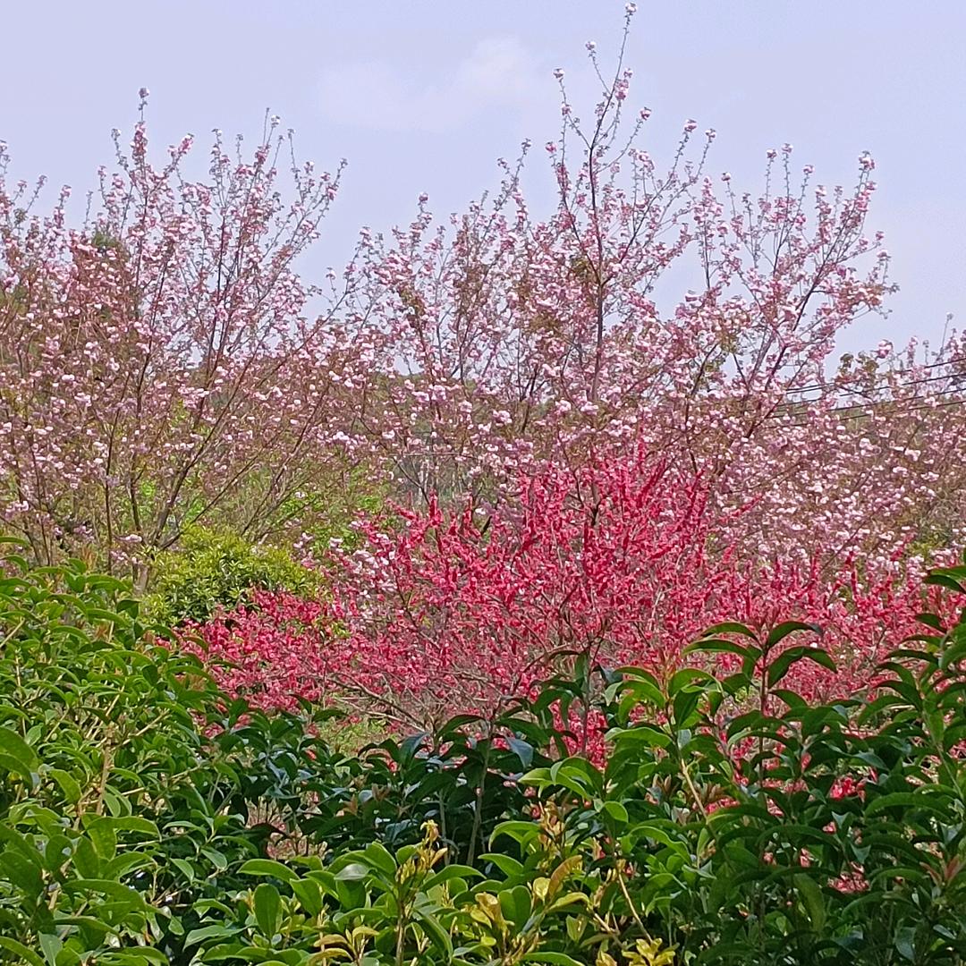 璟銘