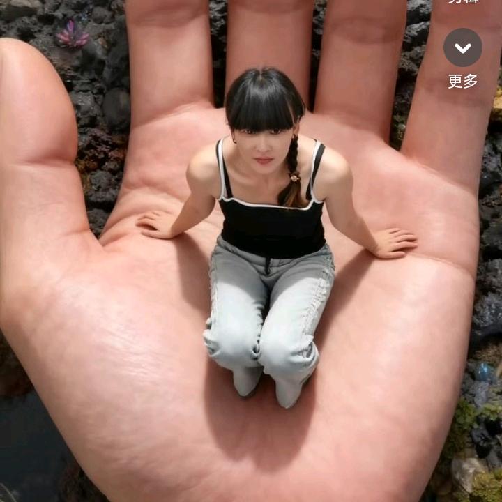 浅念念