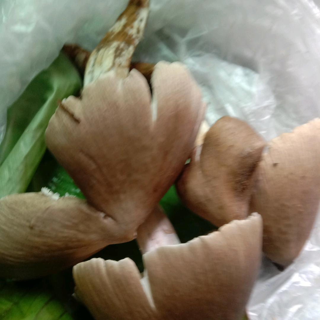 阳光