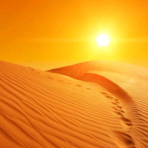 未曾酒醉已清醒，未曾深爱已无情