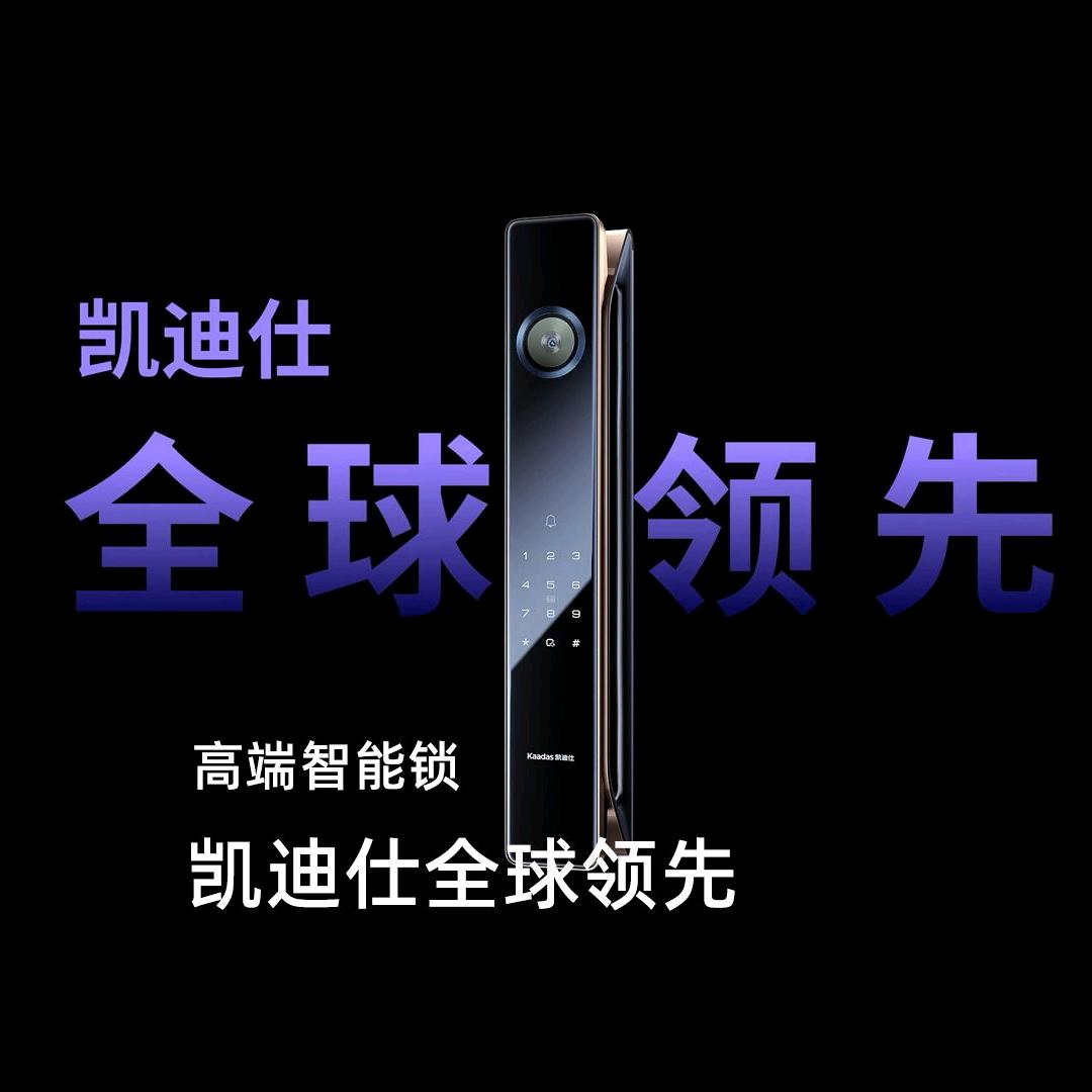 芮城县凯迪仕智能锁
