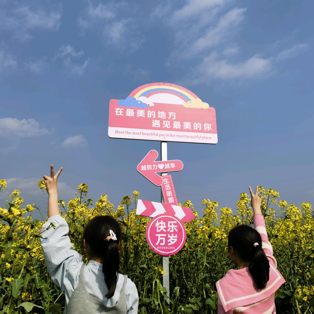 🌻巧克力的巧。