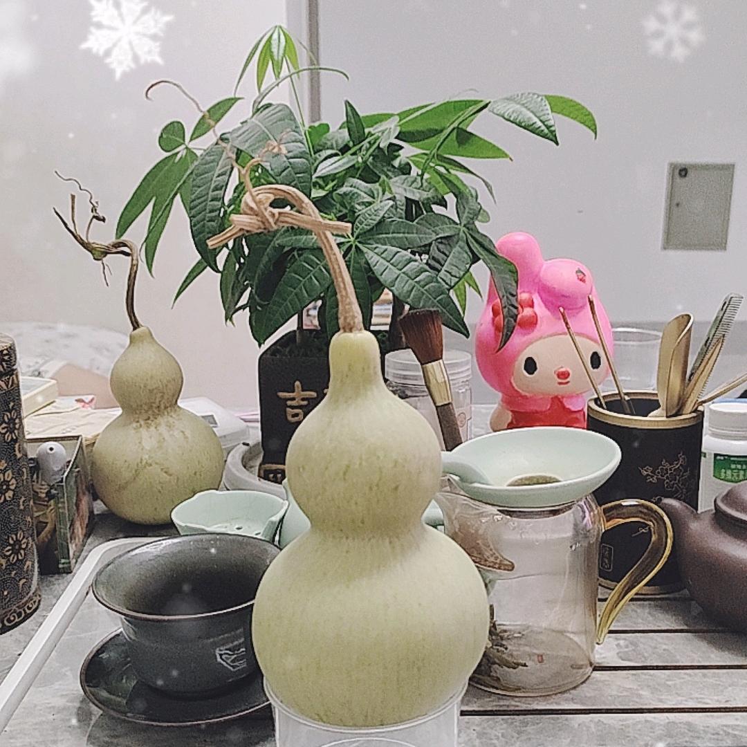 葫芦阁杰哥